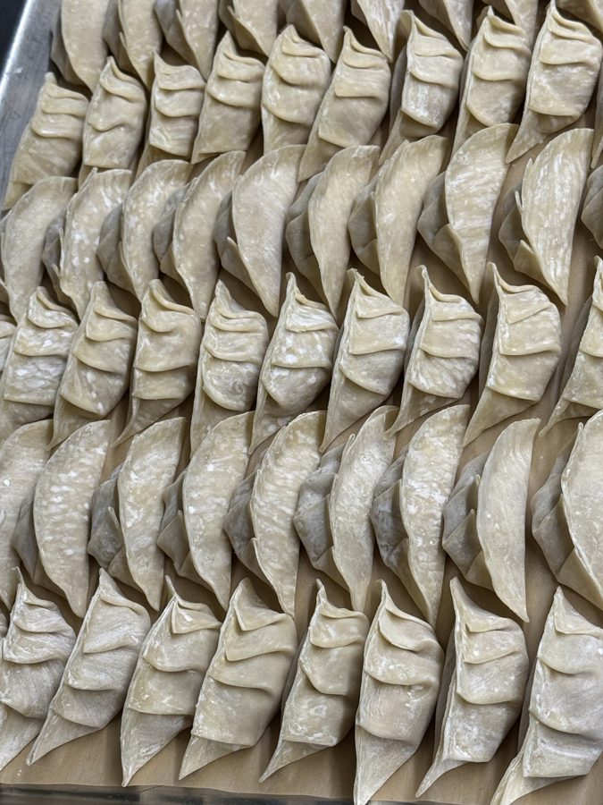 Handmade gyoza